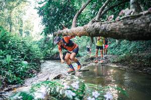 BIB: 
                            <button type="button" onclick="openModal(25435994)" class="btn btn-primary btn-sm float-right btn-popup" data-toggle="modal" data-target=".modal-high-quality">
                        <i class="fas fa-shopping-cart"></i> Add to Cart
                    </button>
                                            <button type="button" onclick="isThisMe(25435994, true)" class="btn btn-success btn-sm float-right btn-popup btn-isme hidden" data-toggle="tooltip" data-placement="bottom" title="นี่คือรูปของคุณใช่ไหม คลิกที่นี่เพื่อเอาเข้าอัลบั้ม">
                        <i class="fas fa-plus"></i> Add to album
                    </button>
                    <button type="button" onclick="isThisMe(25435994, false)" class="btn btn-warning btn-sm float-right btn-popup btn-isnotme hidden">
                        <i class="fas fa-ban"></i> Remove from album
                    </button>